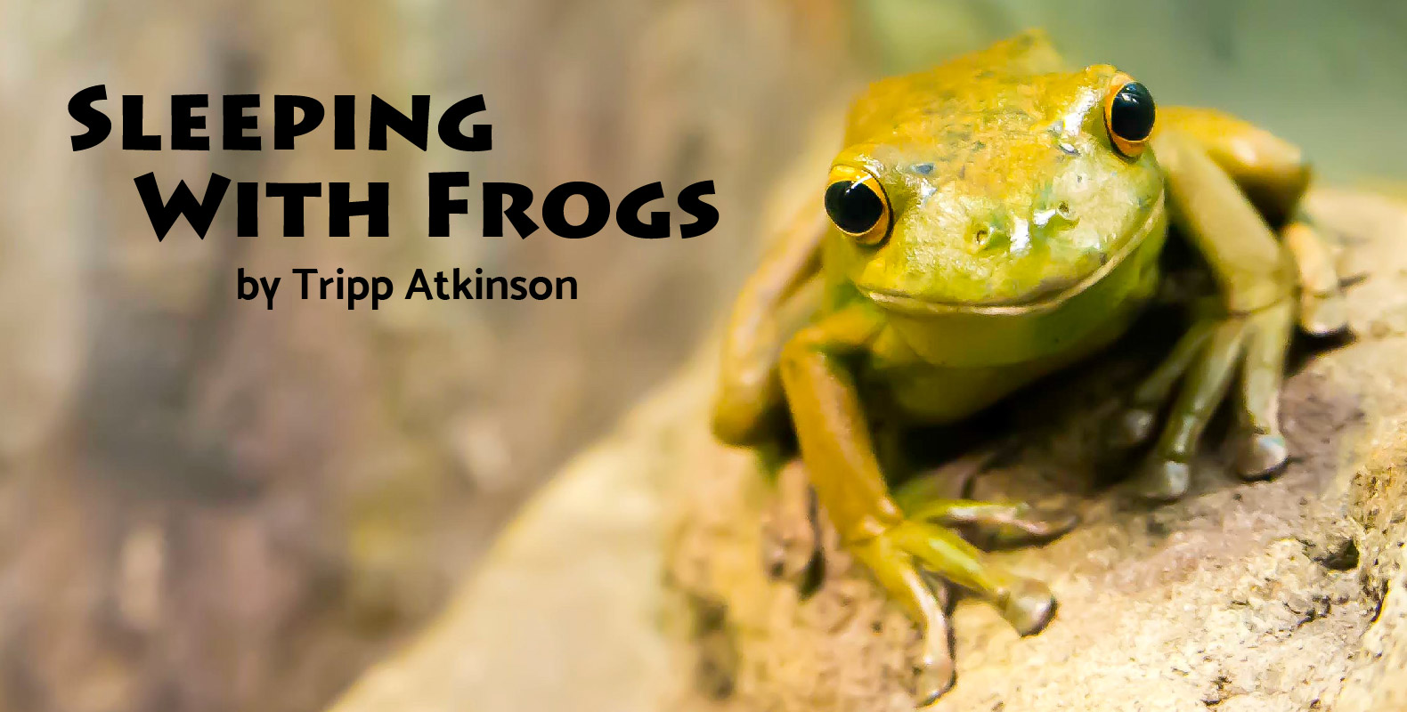Header for Tripp Atkinson Sleeping with Frogs